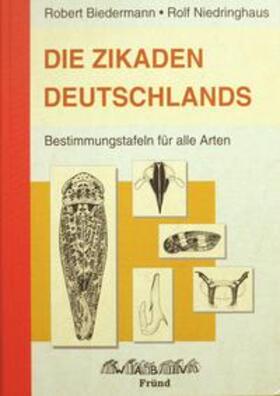 Biedermann / Niedringhaus | Die Zikaden Deutschlands | Buch | 978-3-939202-00-4 | sack.de