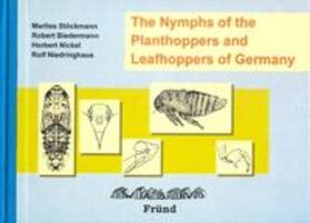 Stöckmann / Biedermann / Nickel | The Nymphs of Planthoppers and Leafhoppers of Germany | Buch | 978-3-939202-04-2 | sack.de