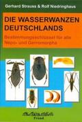 Niedringhaus / Strauss |  Die Wasserwanzen Deutschlands | Buch |  Sack Fachmedien