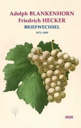 Blankenhorn / Hecker / Döbele-Carlesso |  Briefwechsel 1872–1880 | Buch |  Sack Fachmedien