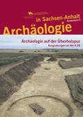 Dresely / Meller |  Archäologie in Sachsen-Anhalt / Archäologie auf der Überholspur | Buch |  Sack Fachmedien