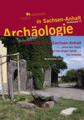 Fieber / Lück / Schmitt |  Archäologie in Sachsen-Anhalt / Bauernsteine in Sachsen-Anhalt | Buch |  Sack Fachmedien