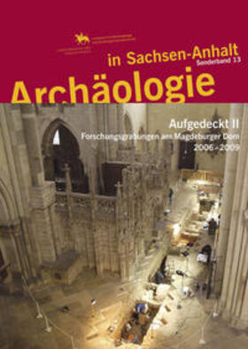 Kuhn / Meller / Schenkluhn |  Archäologie in Sachsen-Anhalt / Aufgedeckt II | Buch |  Sack Fachmedien