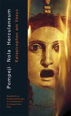 Meller / Maraszek / Dozio |  Pompeji - Nola - Herculaneum | Buch |  Sack Fachmedien