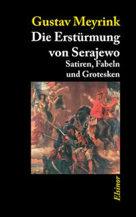 Meyrink |  Die Erstürmung von Serajewo | Buch |  Sack Fachmedien