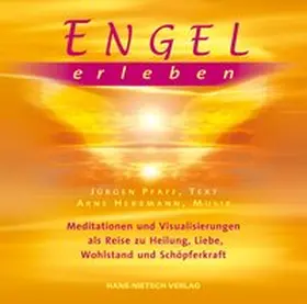 Pfaff |  Engel erleben | Sonstiges |  Sack Fachmedien
