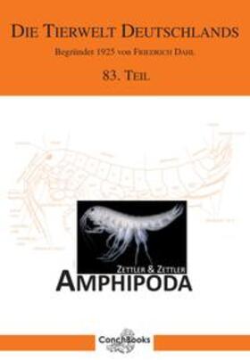Zettler |  Marine and freshwater Amphipoda from the Baltic Sea and adjacent territories | Buch |  Sack Fachmedien