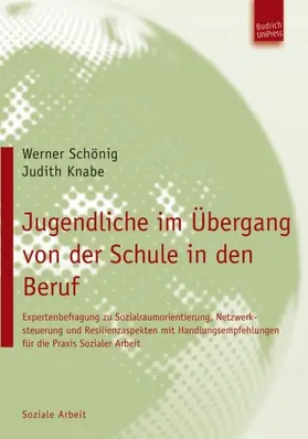 Schönig / Knabe |  Jugendliche im Übergang von der Schule in den Beruf | Buch |  Sack Fachmedien