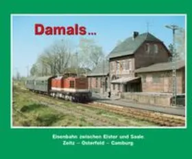 Petrak |  Damals 8 | Buch |  Sack Fachmedien