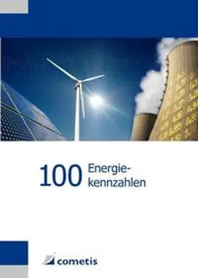 Neumann |  100 Energiekennzahlen | Buch |  Sack Fachmedien