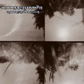 Zwang-Eriksson |  Eigentextlichtönendes | Sonstiges |  Sack Fachmedien