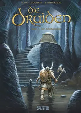 Istin / Jigourel |  Die Druiden 05. Der Schicksalsstein | Buch |  Sack Fachmedien