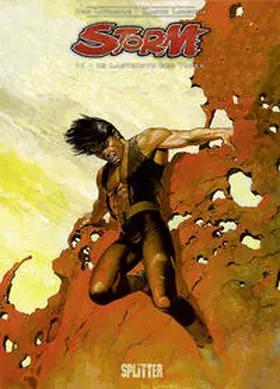 Lawrence / Lodewijk |  Storm 11. Im Labyrinth des Todes | Buch |  Sack Fachmedien