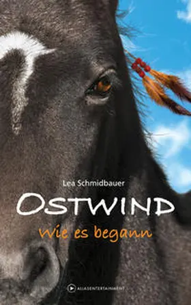 Schmidbauer |  OSTWIND - Wie es begann | Buch |  Sack Fachmedien