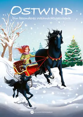 THiLO |  Ostwind - Ein besonderes Weihnachtsgeschenk | Buch |  Sack Fachmedien
