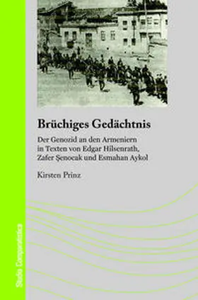 Prinz |  Brüchiges Gedächtnis | Buch |  Sack Fachmedien