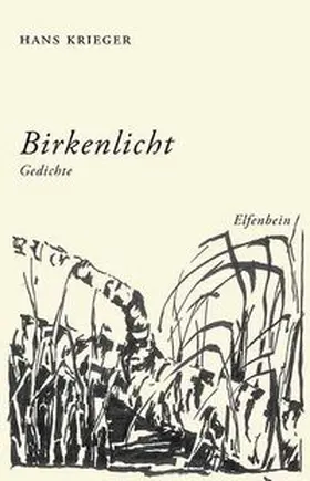 Krieger |  Birkenlicht | Buch |  Sack Fachmedien