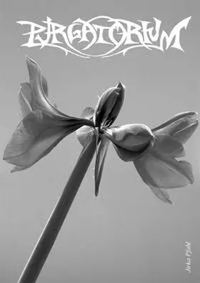  Jirka Pfahl: Purgatorium | Buch |  Sack Fachmedien