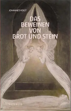 Voigt |  Reihe Geisteswissenschaft / Das Beweinen von Brot und Stein | Buch |  Sack Fachmedien