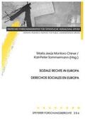 Montoro Chiner / Sommermann |  Soziale Rechte in Europa / Derechos Sociales en Europa | Buch |  Sack Fachmedien