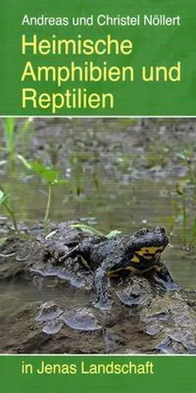 Nöllert |  Heimische Amphibien und Reptilien | Buch |  Sack Fachmedien