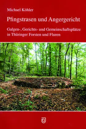 Köhler |  Pfingstrasen und Angergericht | Buch |  Sack Fachmedien
