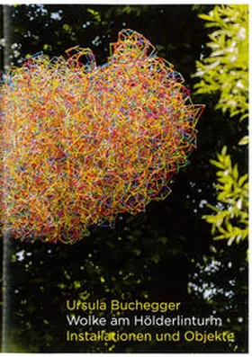 Buchegger |  Wolke am Hölderlinturm | Buch |  Sack Fachmedien