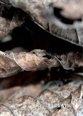 Thiele / Thauer / Ragan |  HRVST death | Buch |  Sack Fachmedien