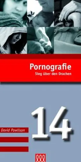 Powlison |  Pornografie (Nr. 14) | Buch |  Sack Fachmedien