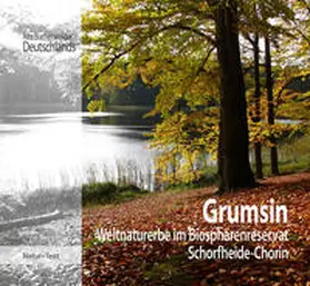Blahy / Flade |  Grumsin | Buch |  Sack Fachmedien