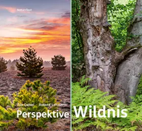 Lehmann |  Perspektive Wildnis | Buch |  Sack Fachmedien