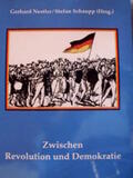 Nestler / Schaupp |  Zwischen Revolution und Demokratie | Buch |  Sack Fachmedien