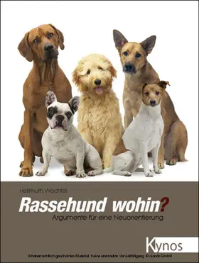 Wachtel |  Rassehund wohin? | eBook | Sack Fachmedien