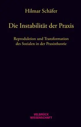 Schäfer |  Die Instabilität der Praxis | Buch |  Sack Fachmedien