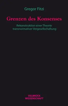 Fitzi |  Grenzen des Konsenses | Buch |  Sack Fachmedien