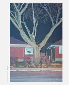 Pfeifer / Pogo Books |  At Night | Buch |  Sack Fachmedien