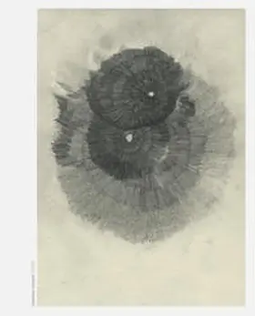 Leonard / Pfeifer |  Noise | Buch |  Sack Fachmedien