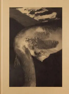 Pfeifer / Pogo Books |  BEDU | Buch |  Sack Fachmedien