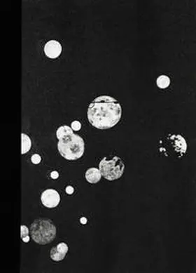 PogoBooks Verlag / Pfeifer |  LICHTQUELLEN | Buch |  Sack Fachmedien