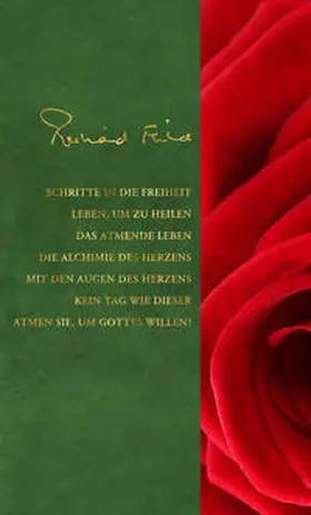 Feild |  Gesammelte Werke, Band II | Buch |  Sack Fachmedien