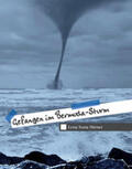 Hirner / Bulgay |  Gefangen im Bermuda-Sturm | Buch |  Sack Fachmedien