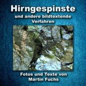Fuchs | Hirngespinste | Buch | 978-3-942941-01-3 | sack.de