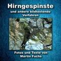 Fuchs |  Hirngespinste | Buch |  Sack Fachmedien