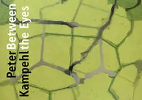 kunst galerie fürth |  Peter Kampehl - Between the Eyes | Buch |  Sack Fachmedien