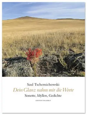 Tschernichowski |  Dein Glanz nahm mir die Worte | Buch |  Sack Fachmedien