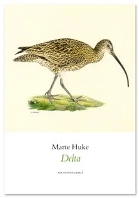 Huke |  Delta | Buch |  Sack Fachmedien