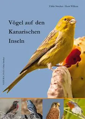 Strecker / Wilkens | Vögel auf den Kanarischen Inseln | Buch | 978-3-942999-05-2 | www.sack.de