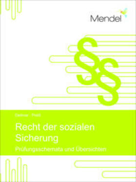 Prof. Dr. Dettmar / Preiß / Dettmar |  Recht der sozialen Sicherung | Buch |  Sack Fachmedien