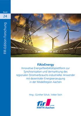 Schuh / Stich |  FlAixEnergy | Buch |  Sack Fachmedien