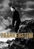 Schmid |  Frankenstein. Band II (1931-2013) | Buch |  Sack Fachmedien